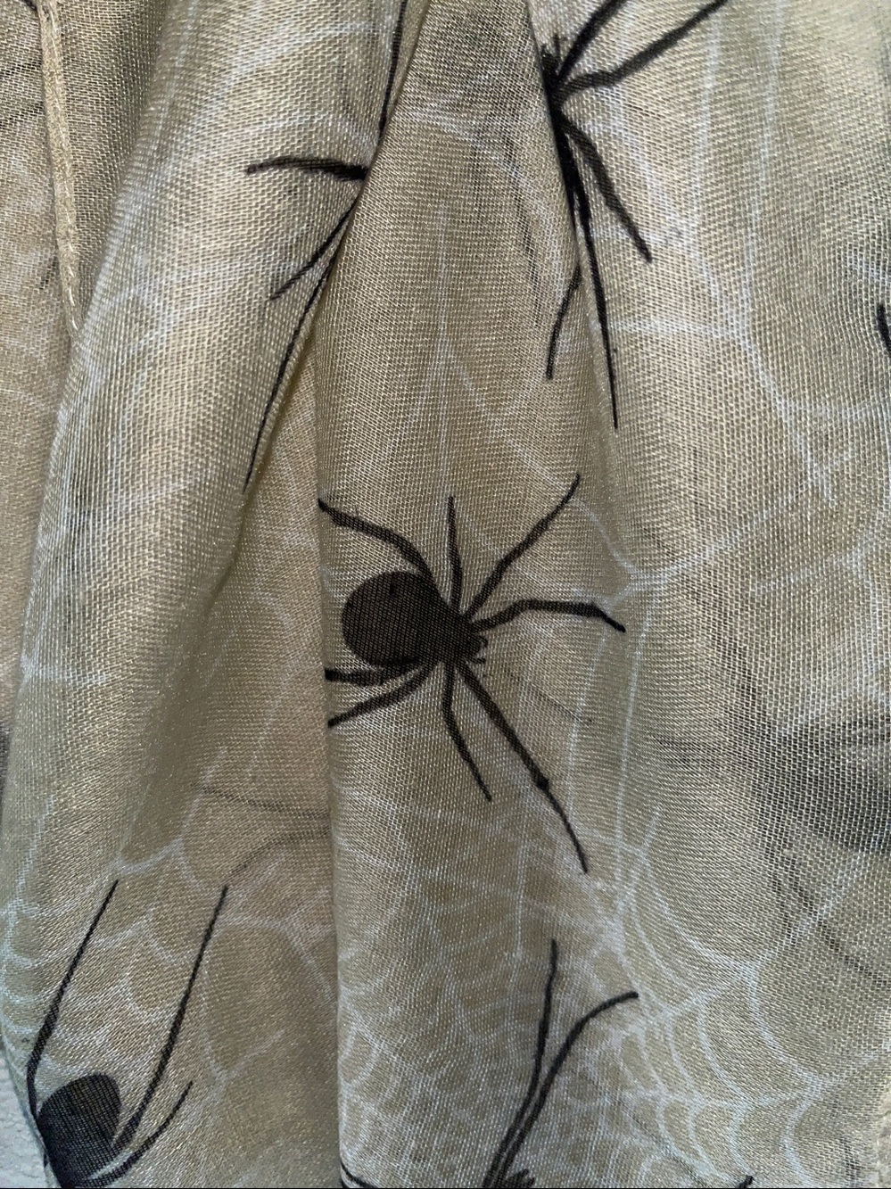 Halloween Sheer Beige Spider-Print Wrap Scarf
Novelty print
36” x 70”
NWOT - Picture 7 of 7